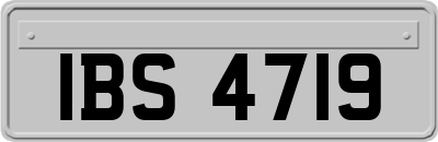 IBS4719