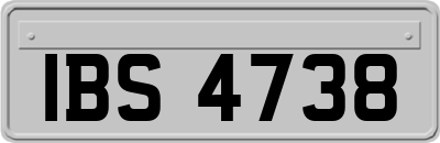 IBS4738
