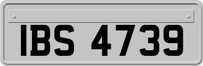 IBS4739