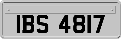 IBS4817