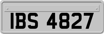 IBS4827