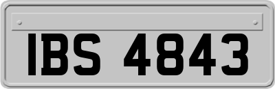 IBS4843