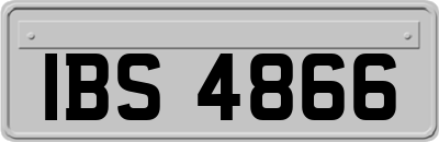 IBS4866