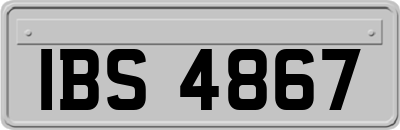 IBS4867