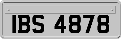 IBS4878