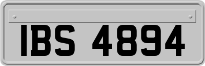 IBS4894