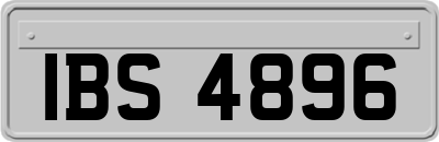 IBS4896