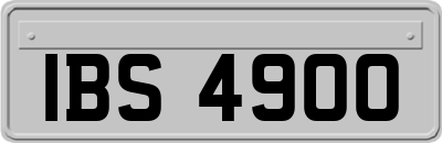 IBS4900