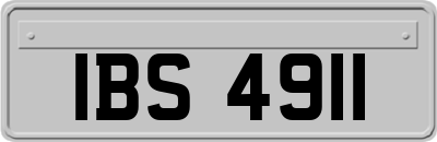 IBS4911