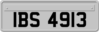 IBS4913