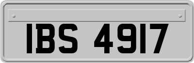 IBS4917