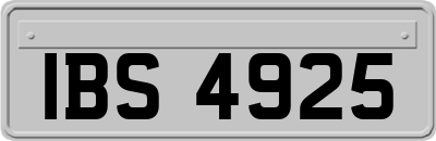 IBS4925