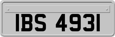 IBS4931