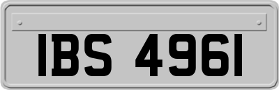 IBS4961