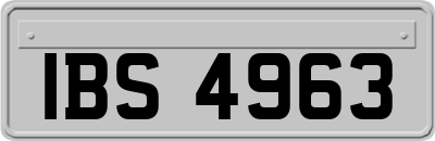 IBS4963