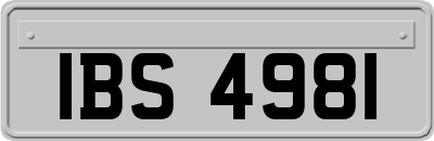 IBS4981
