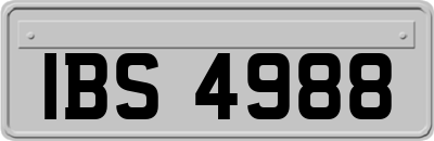 IBS4988