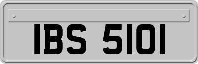 IBS5101