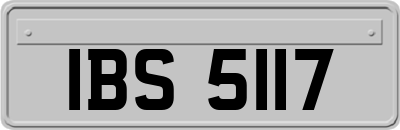 IBS5117