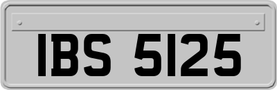 IBS5125
