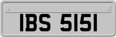 IBS5151