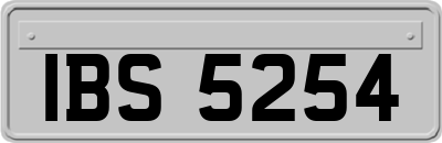 IBS5254