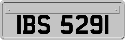 IBS5291