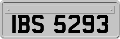 IBS5293