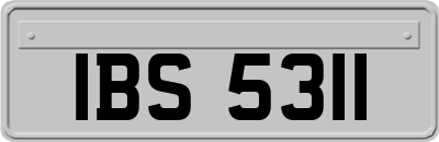 IBS5311