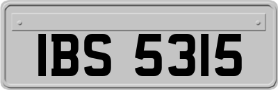 IBS5315
