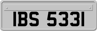 IBS5331