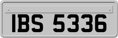 IBS5336