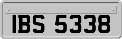 IBS5338