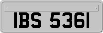 IBS5361