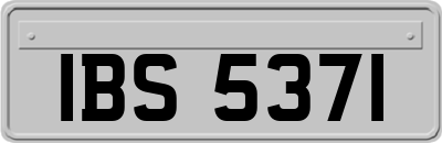 IBS5371