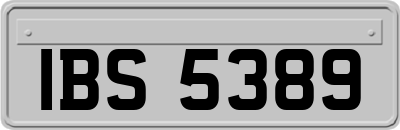 IBS5389