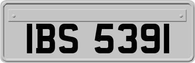 IBS5391