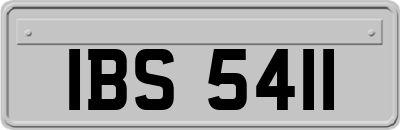 IBS5411