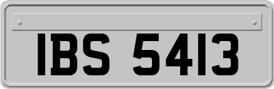 IBS5413