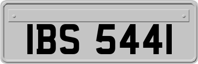 IBS5441