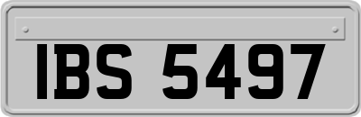 IBS5497
