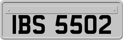 IBS5502