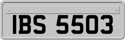 IBS5503