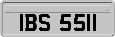 IBS5511