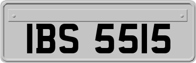 IBS5515