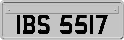 IBS5517