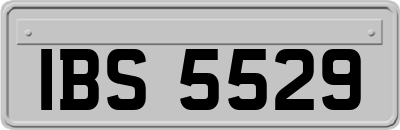 IBS5529