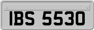 IBS5530