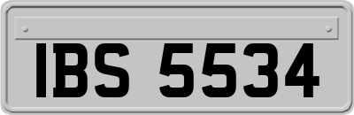 IBS5534