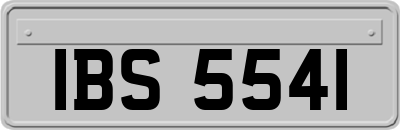 IBS5541